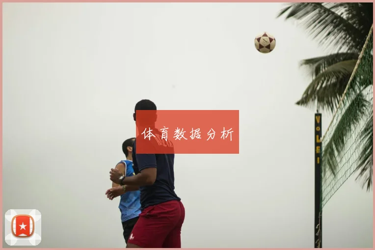 体育数据分析