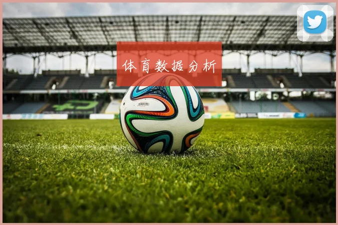 体育数据分析